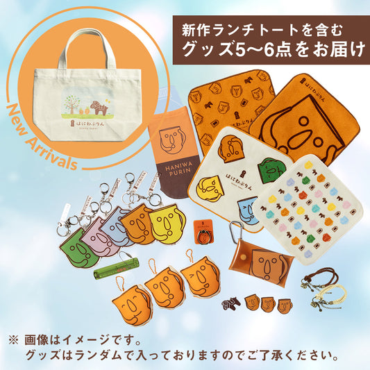 【送料込み】オリジナルグッズ福袋 3,300円セット